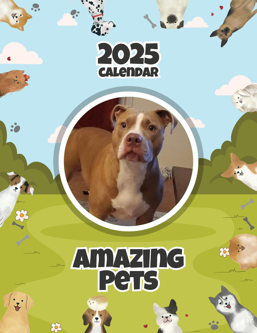 Amazing Pets: 2025 Wall Calendar (Pre-Order)