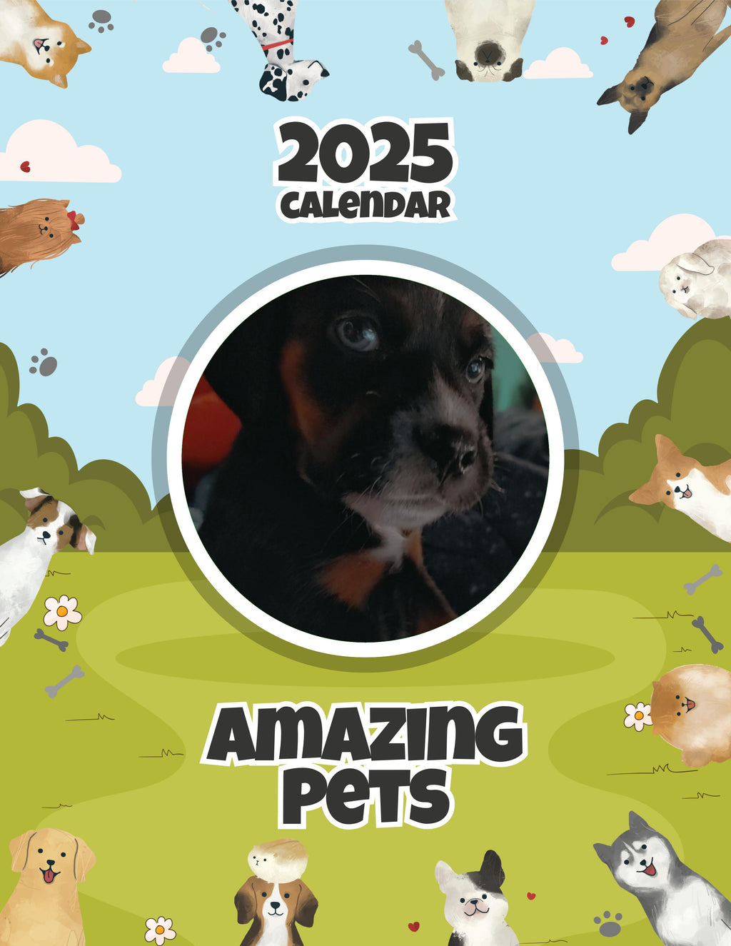 Amazing Pets: 2025 Wall Calendar (Pre-Order)