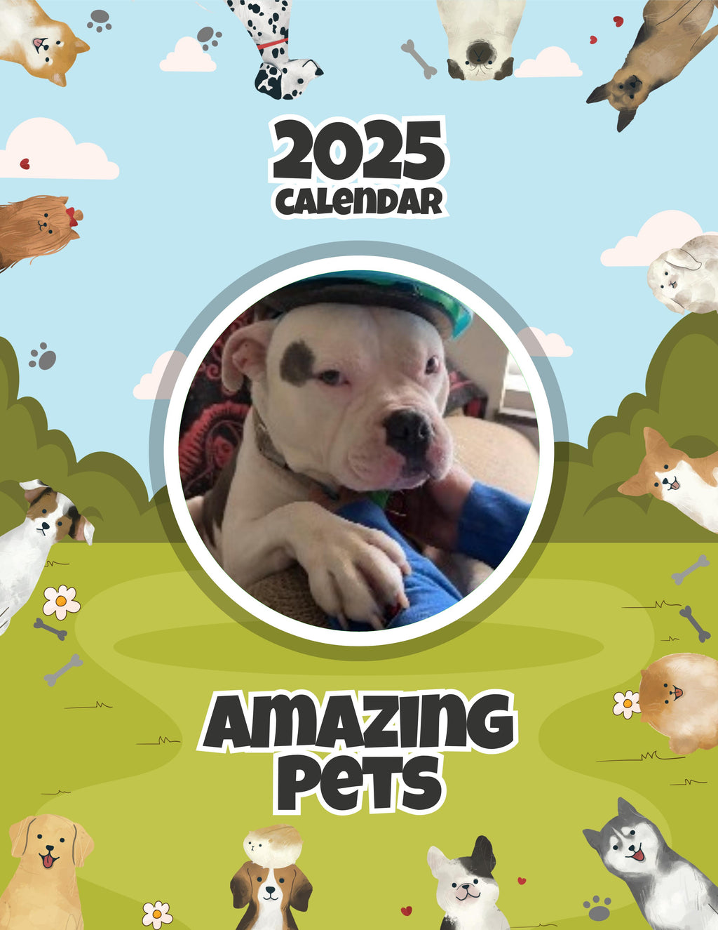 Amazing Pets: 2025 Wall Calendar (Pre-Order)