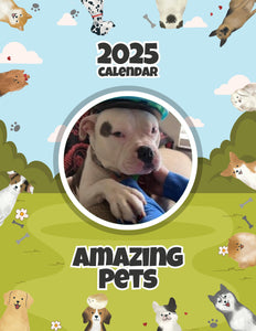 Amazing Pets: 2025 Wall Calendar (Pre-Order)