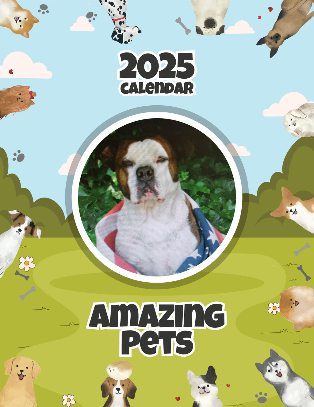 Amazing Pets: 2025 Wall Calendar (Pre-Order)