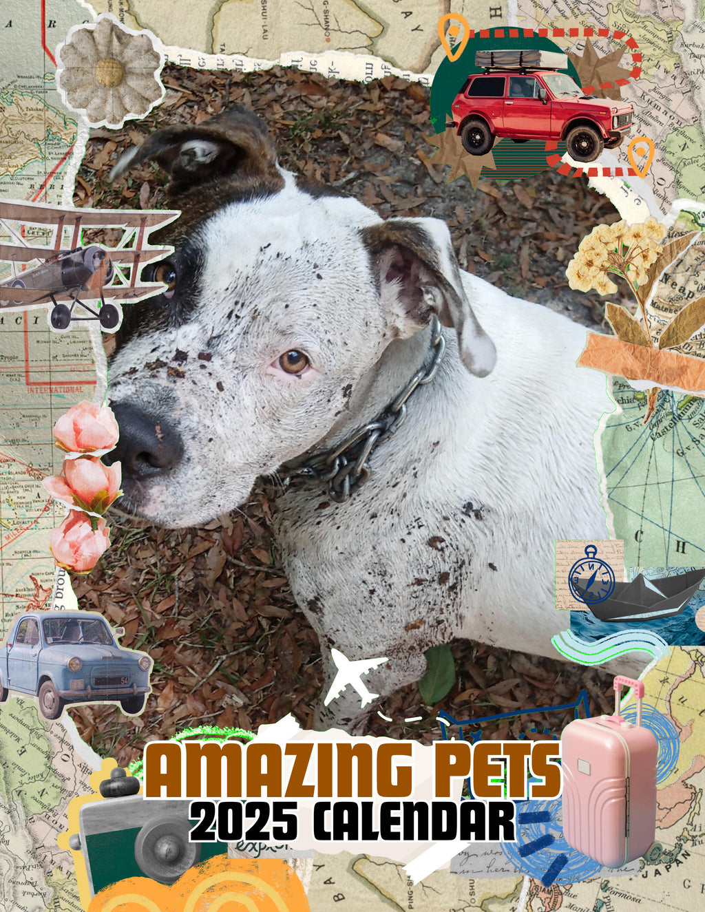 Amazing Pets: 2025 Wall Calendar (Pre-Order)