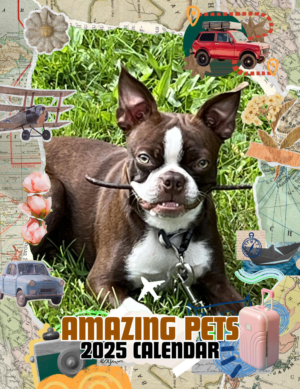 Amazing Pets: 2025 Wall Calendar (Pre-Order)