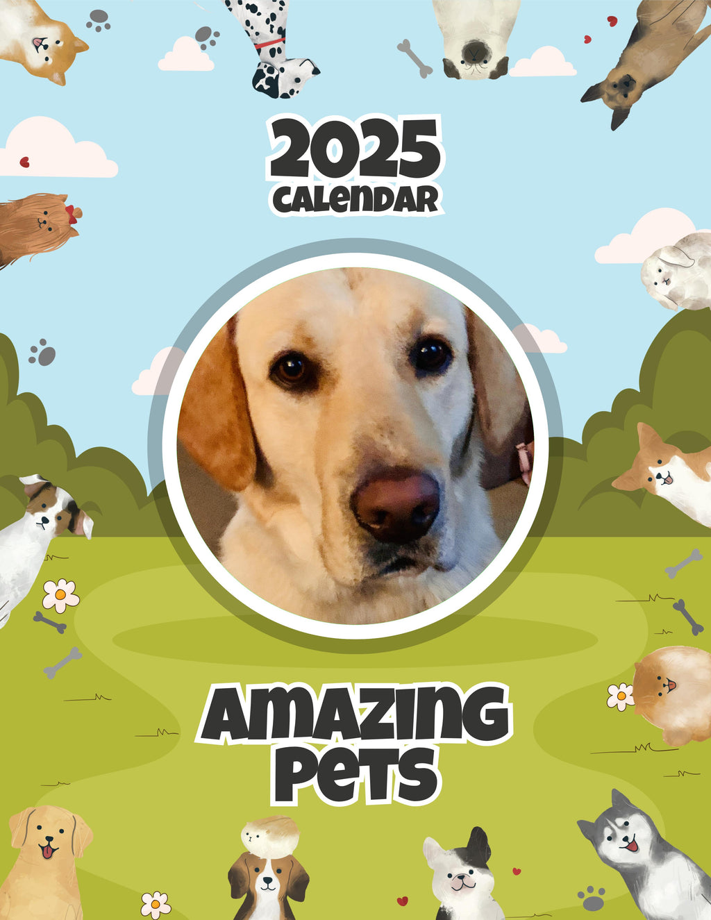 Amazing Pets: 2025 Wall Calendar (Pre-Order)