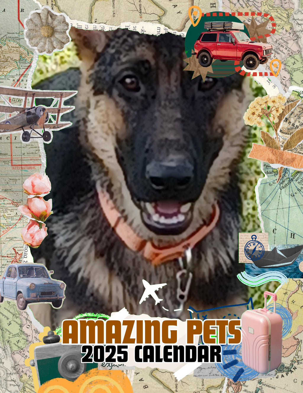 Amazing Pets: 2025 Wall Calendar (Pre-Order)
