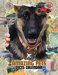 Amazing Pets: 2025 Wall Calendar (Pre-Order)