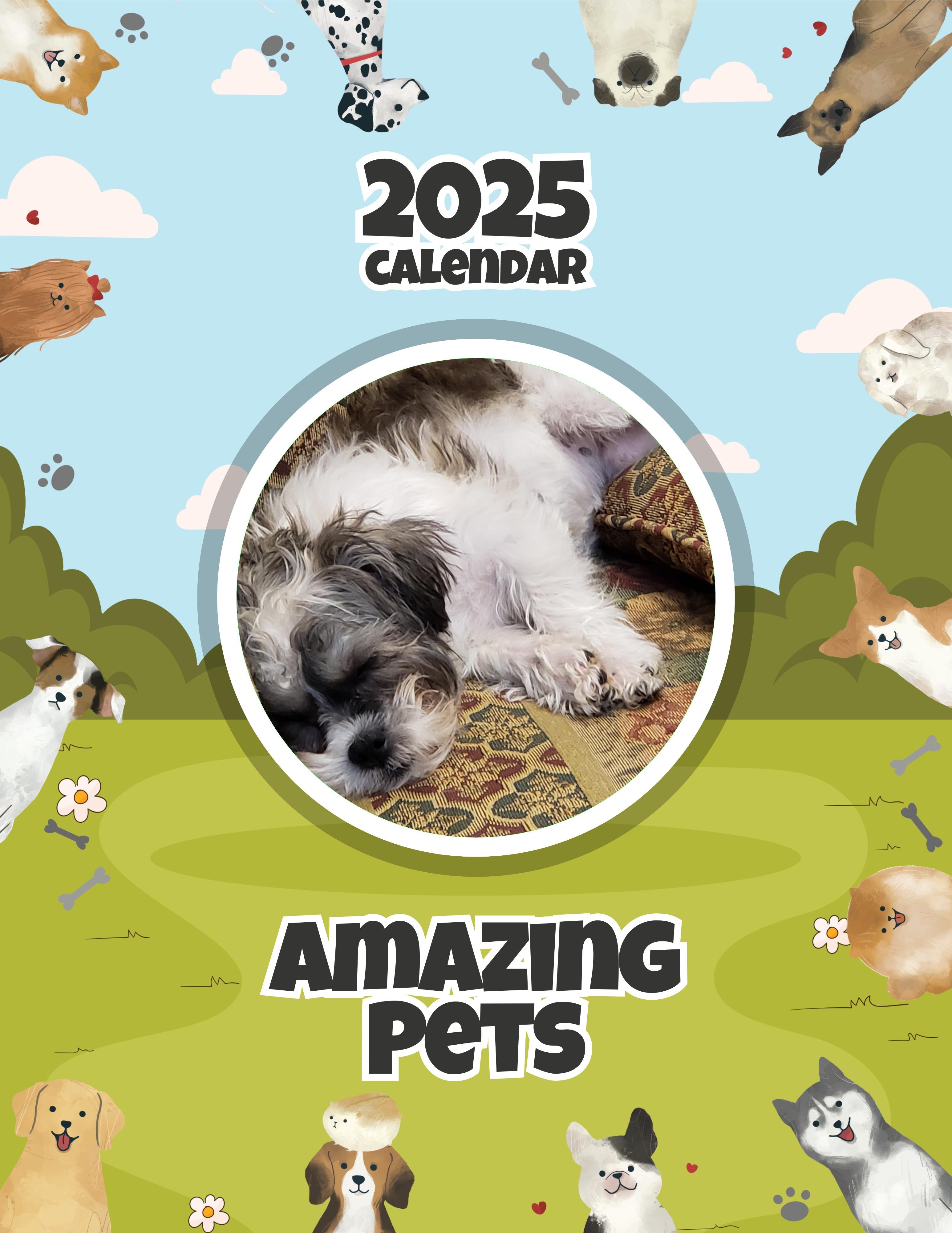 Amazing Pets: 2025 Wall Calendar (Pre-Order)