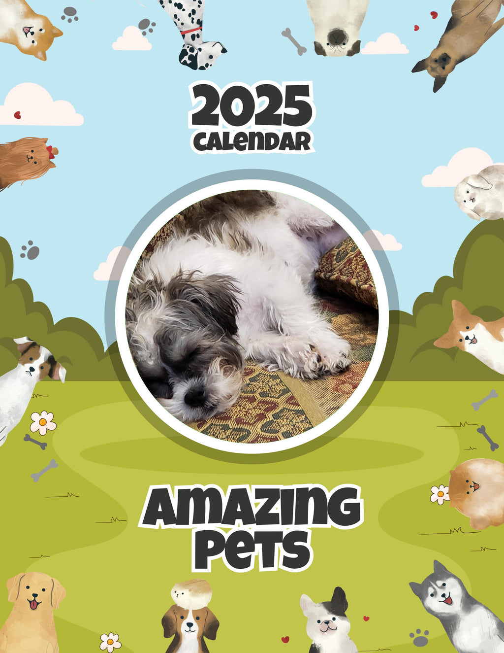 Amazing Pets: 2025 Wall Calendar (Pre-Order)