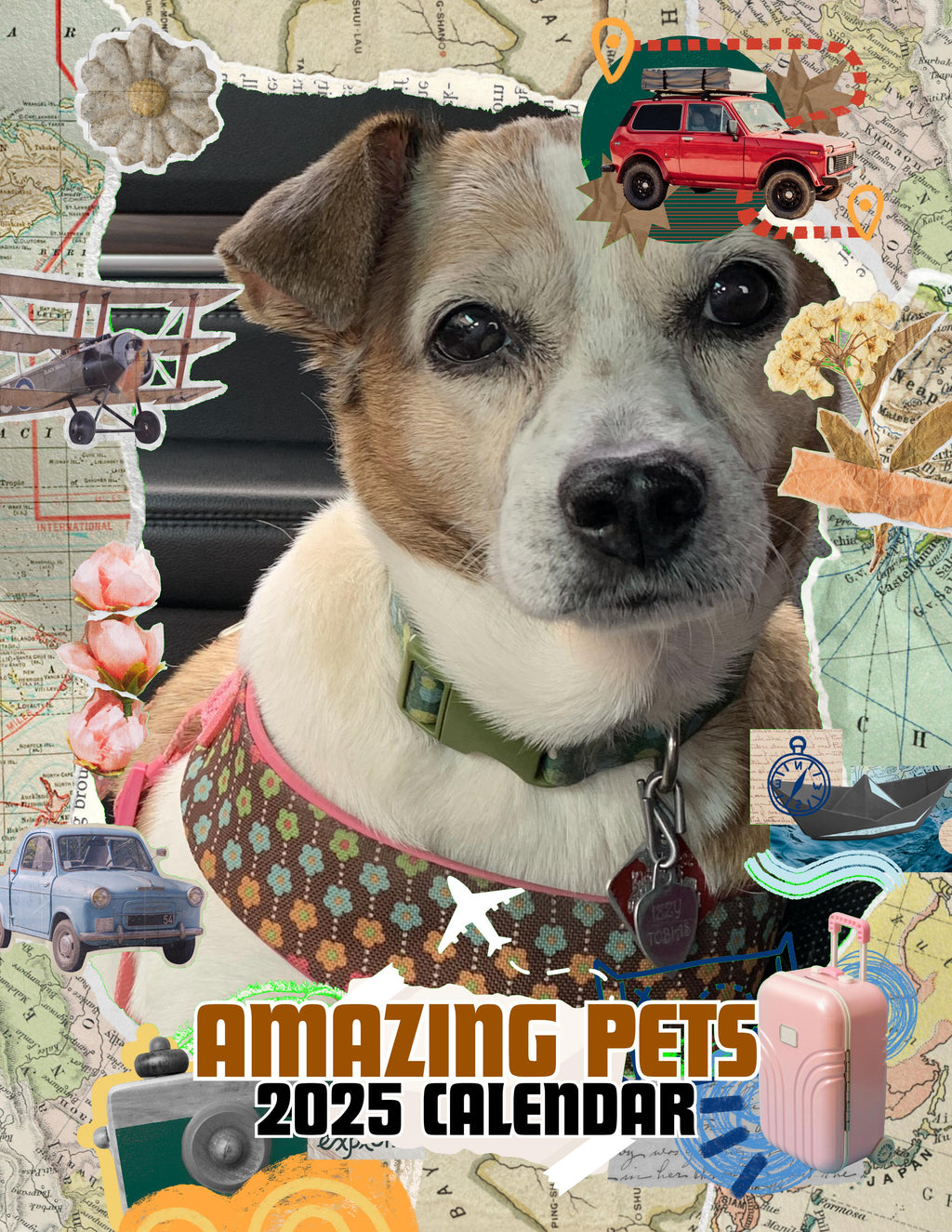 Amazing Pets: 2025 Wall Calendar (Pre-Order)