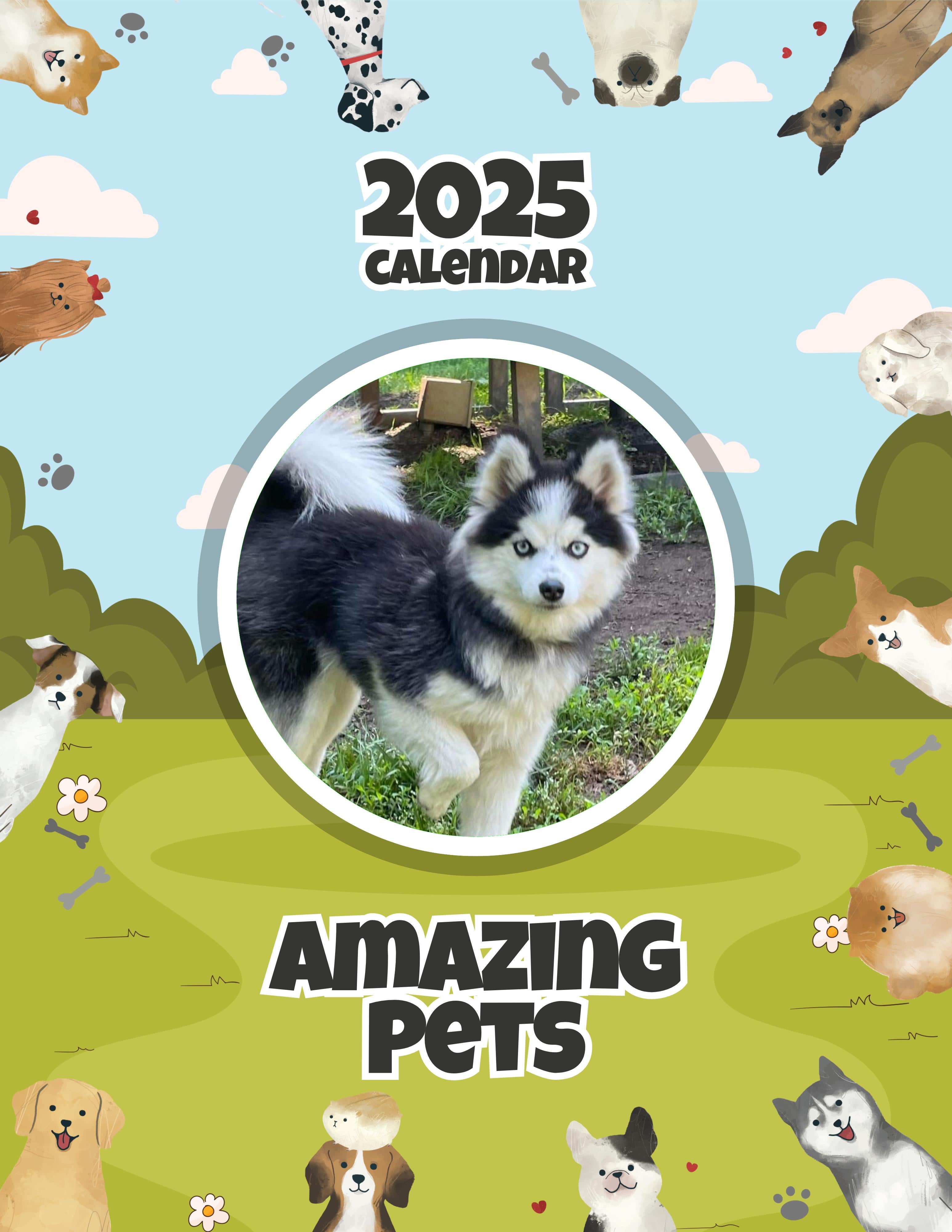 Amazing Pets: 2025 Wall Calendar (Pre-Order)