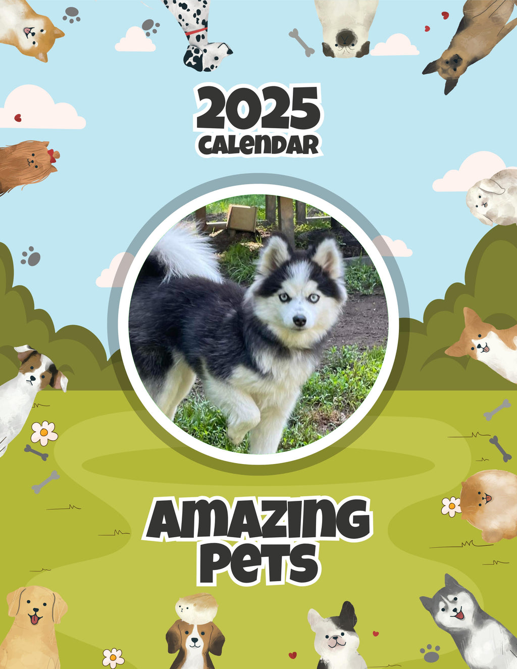Amazing Pets: 2025 Wall Calendar (Pre-Order)