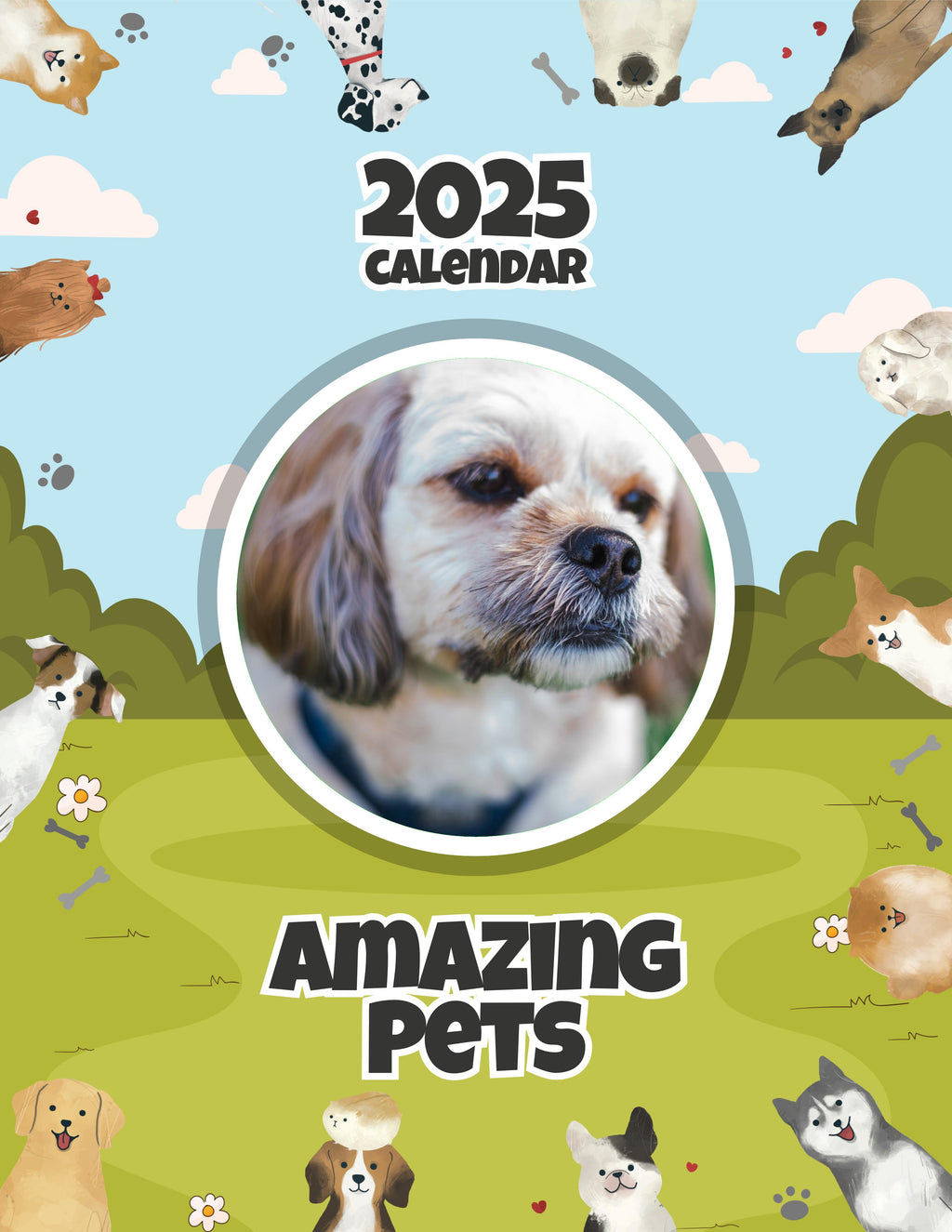 Amazing Pets: 2025 Wall Calendar (Pre-Order)