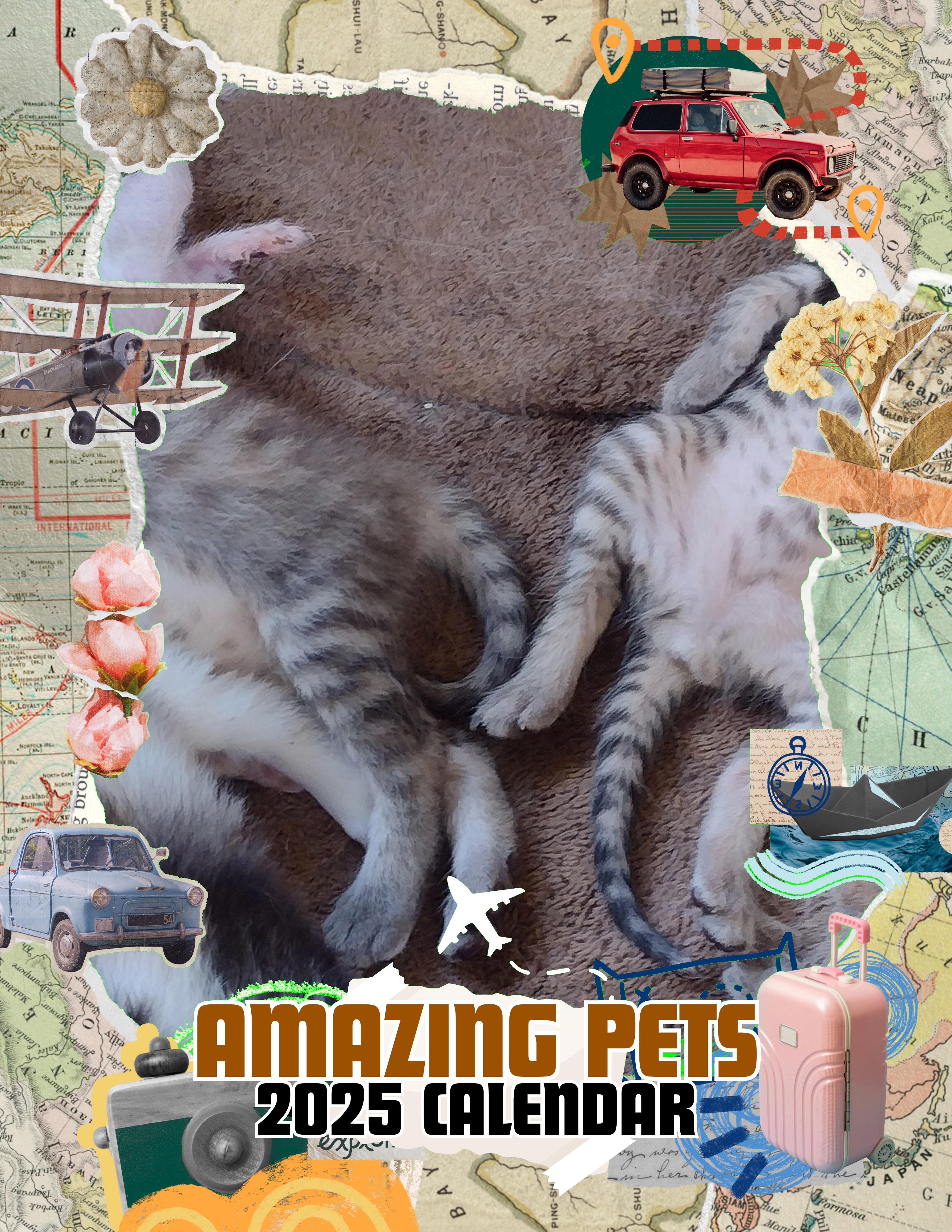 Amazing Pets: 2025 Wall Calendar (Pre-Order)