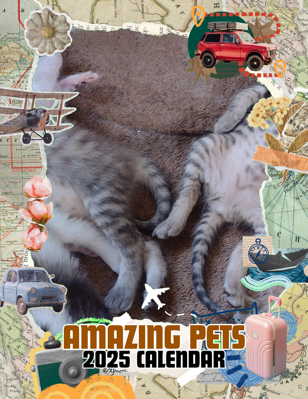 Amazing Pets: 2025 Wall Calendar (Pre-Order)
