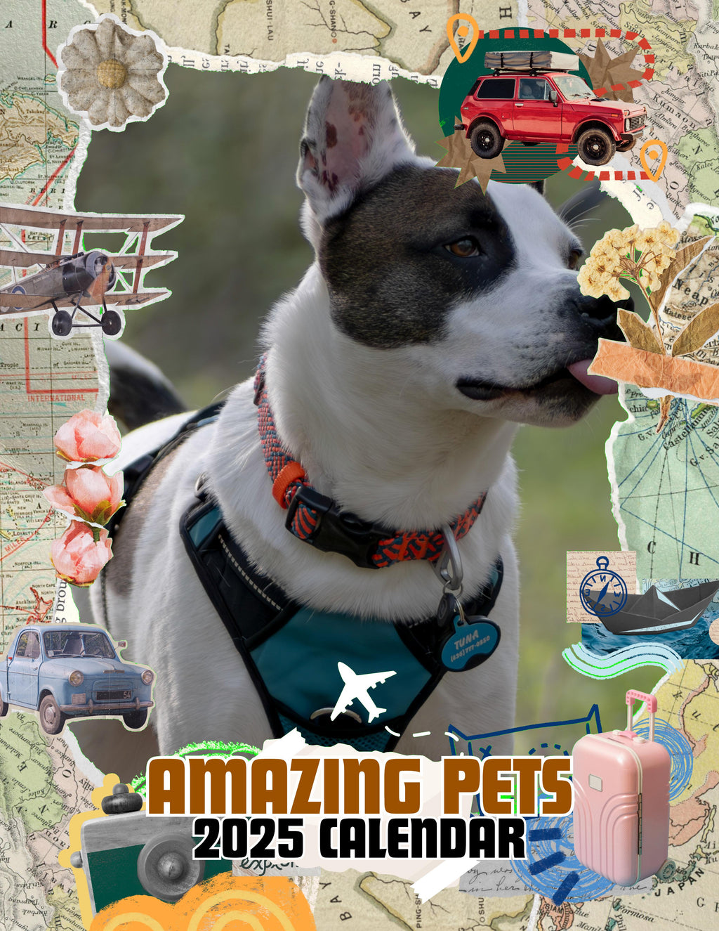 Amazing Pets: 2025 Wall Calendar (Pre-Order)