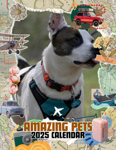 Amazing Pets: 2025 Wall Calendar (Pre-Order)