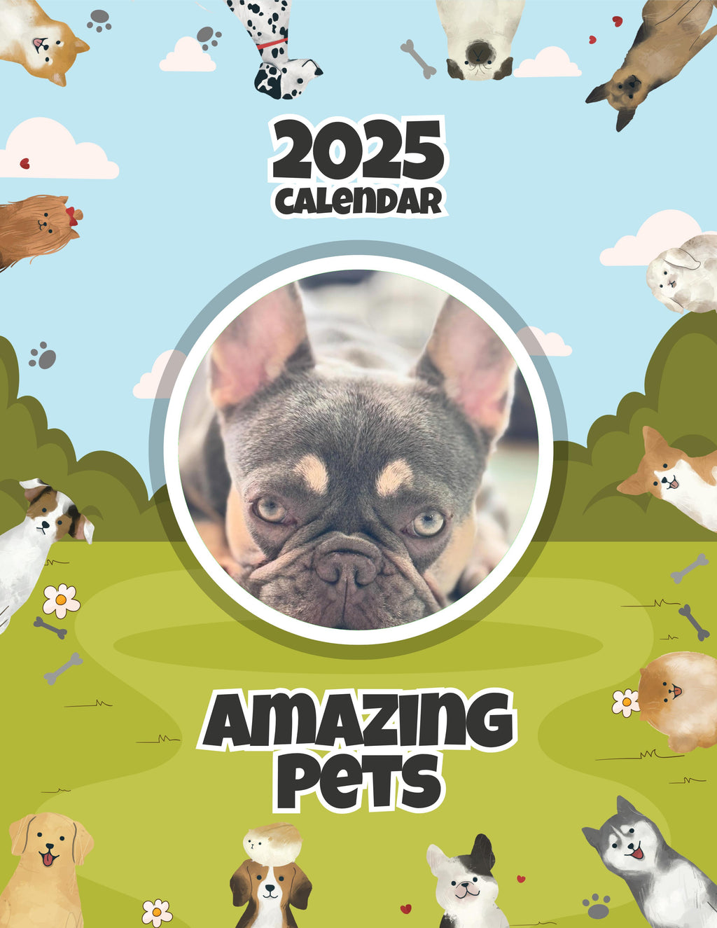 Amazing Pets: 2025 Wall Calendar (Pre-Order)