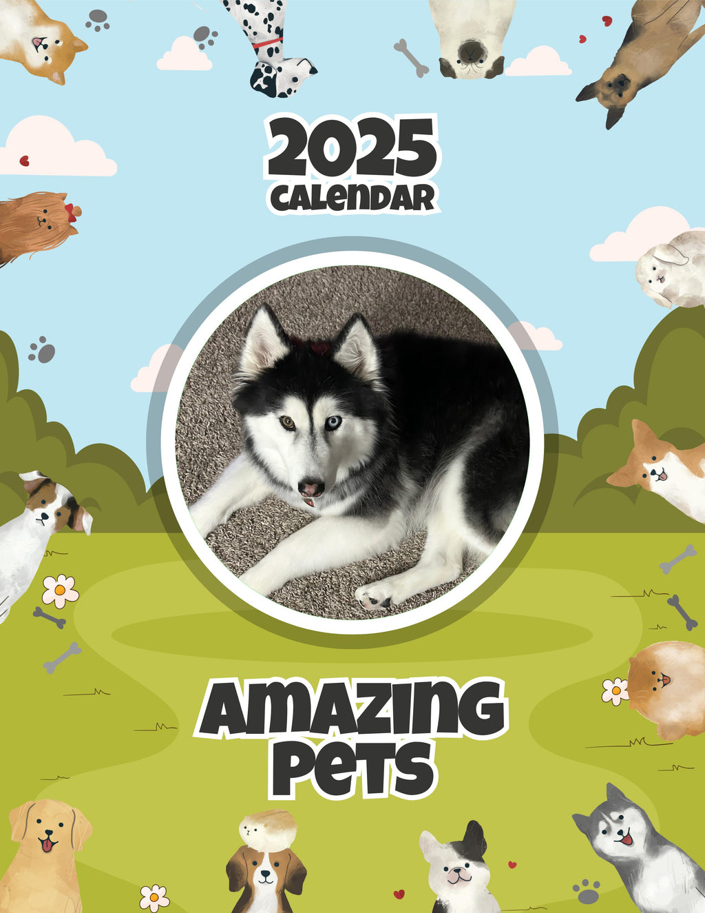 Amazing Pets: 2025 Wall Calendar (Pre-Order)