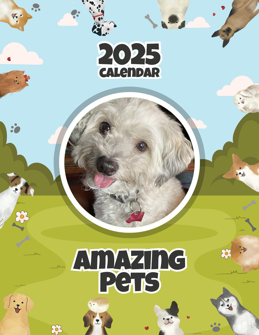 Amazing Pets: 2025 Wall Calendar (Pre-Order)