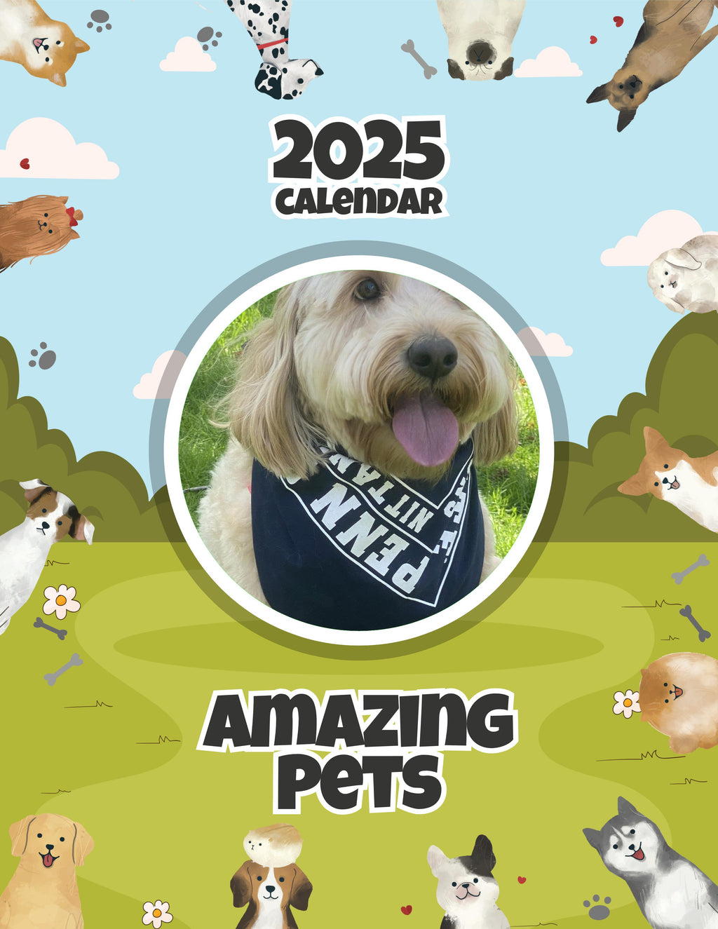Amazing Pets: 2025 Wall Calendar (Pre-Order)