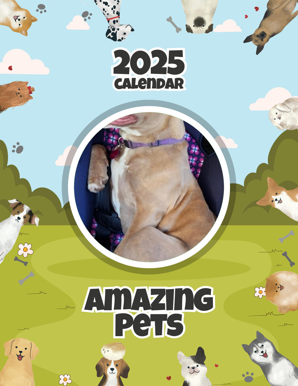Amazing Pets: 2025 Wall Calendar (Pre-Order)