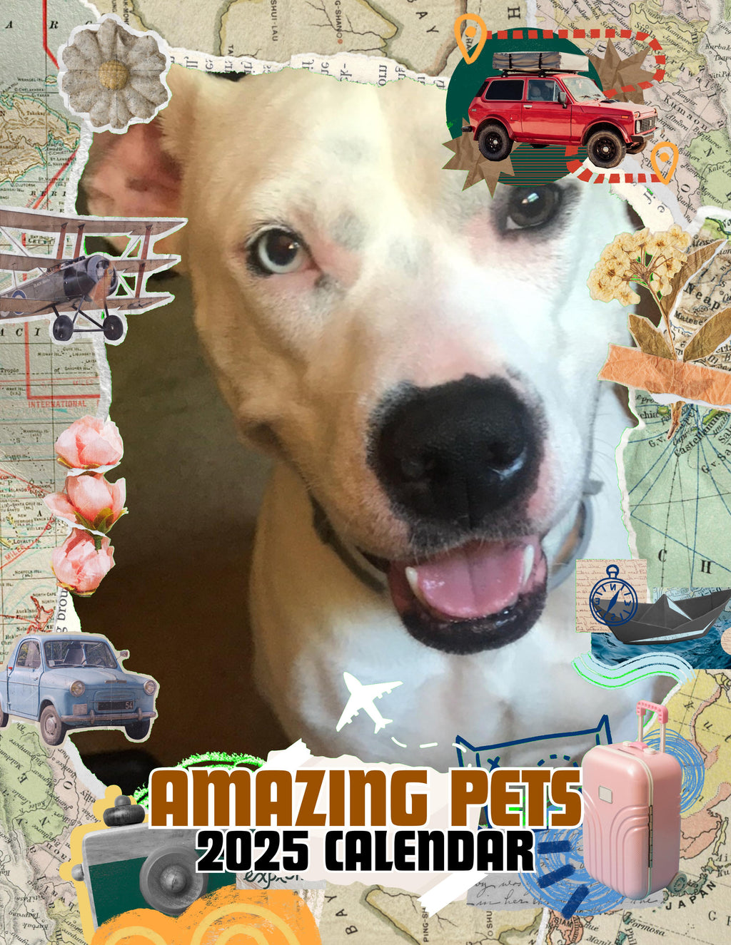 Amazing Pets: 2025 Wall Calendar (Pre-Order)