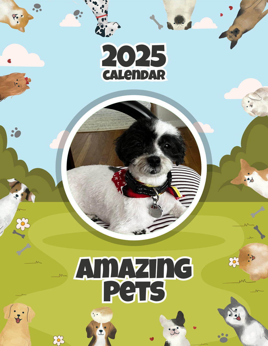 Amazing Pets: 2025 Wall Calendar (Pre-Order)