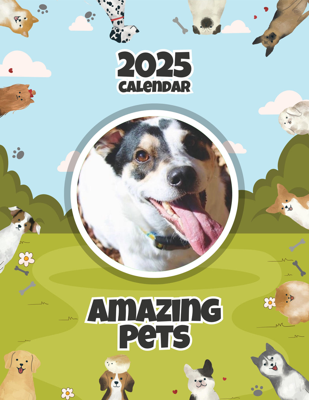 Amazing Pets: 2025 Wall Calendar (Pre-Order)