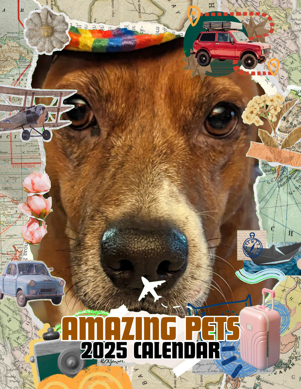 Amazing Pets: 2025 Wall Calendar (Pre-Order)