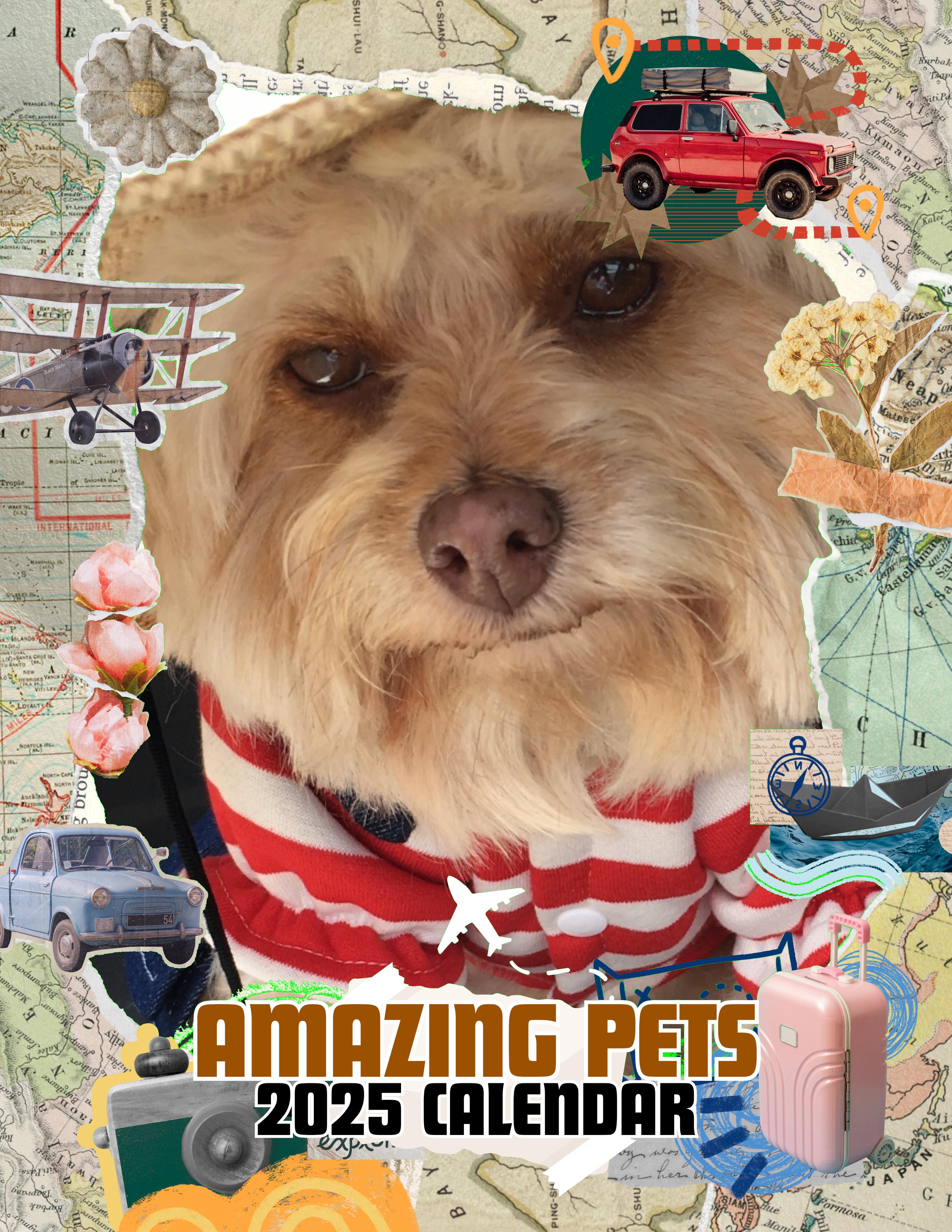 Amazing Pets: 2025 Wall Calendar (Pre-Order)