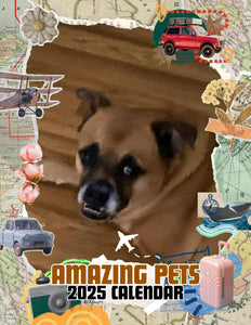 Amazing Pets: 2025 Wall Calendar (Pre-Order)