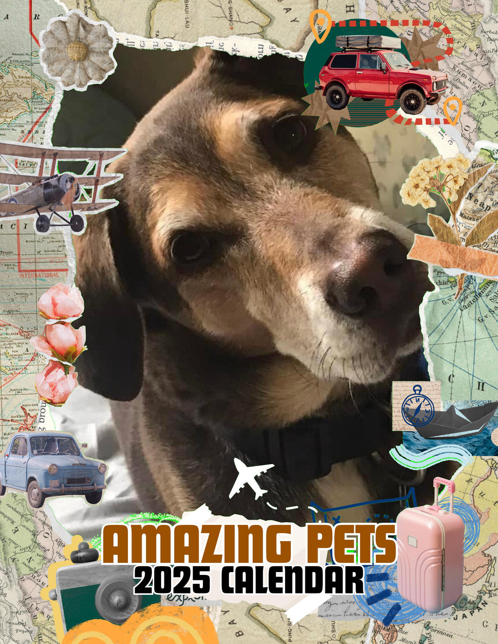 Amazing Pets: 2025 Wall Calendar (Pre-Order)