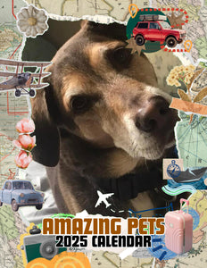 Amazing Pets: 2025 Wall Calendar (Pre-Order)
