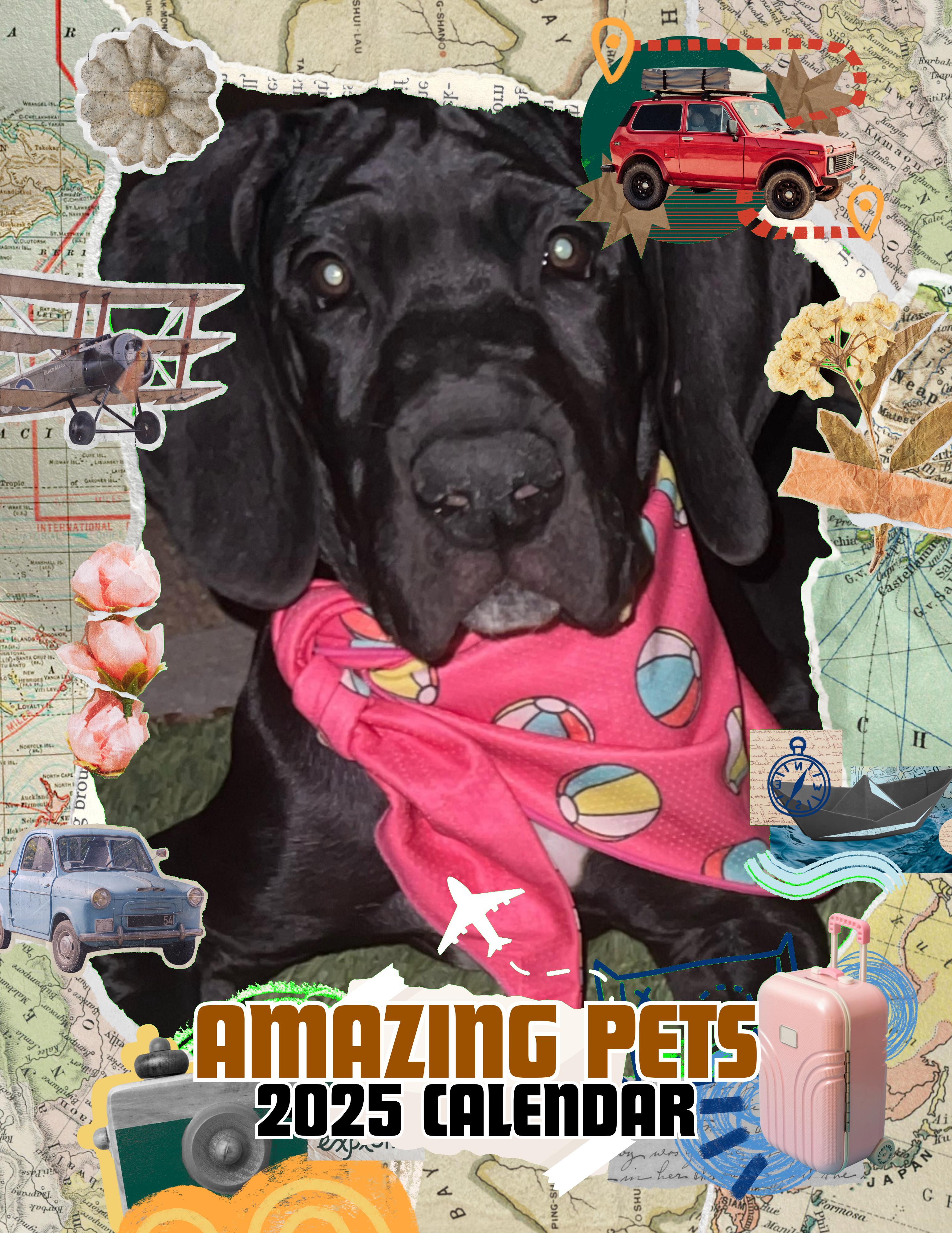 Amazing Pets: 2025 Wall Calendar (Pre-Order)