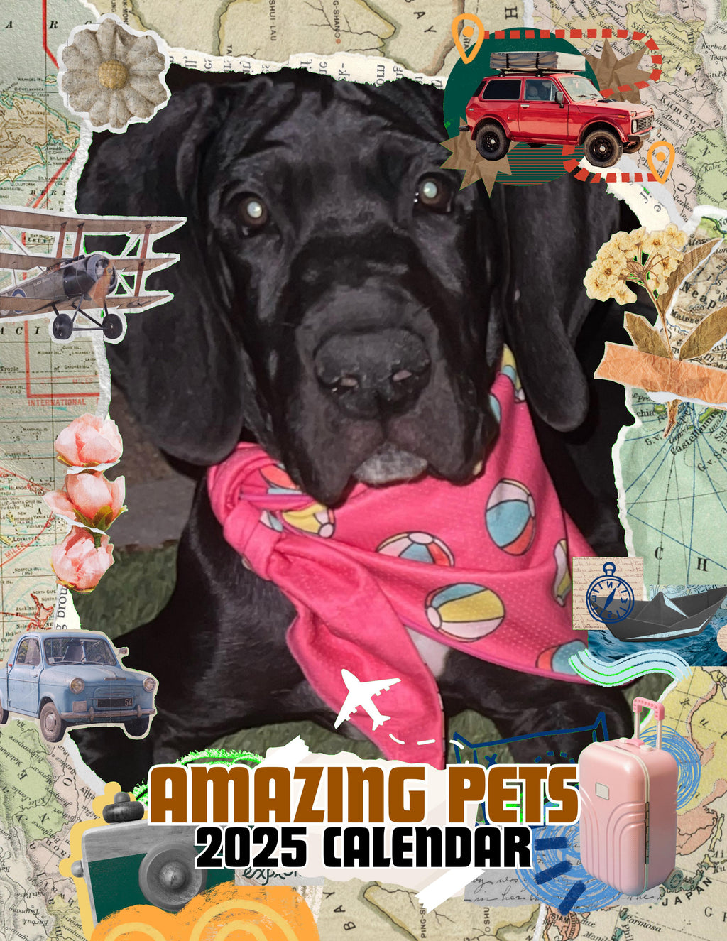 Amazing Pets: 2025 Wall Calendar (Pre-Order)