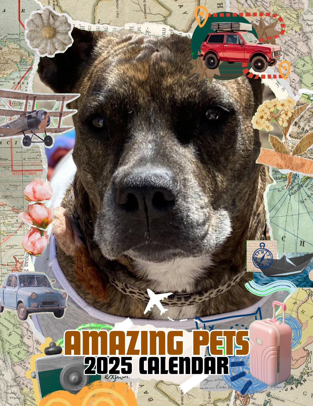 Amazing Pets: 2025 Wall Calendar (Pre-Order)