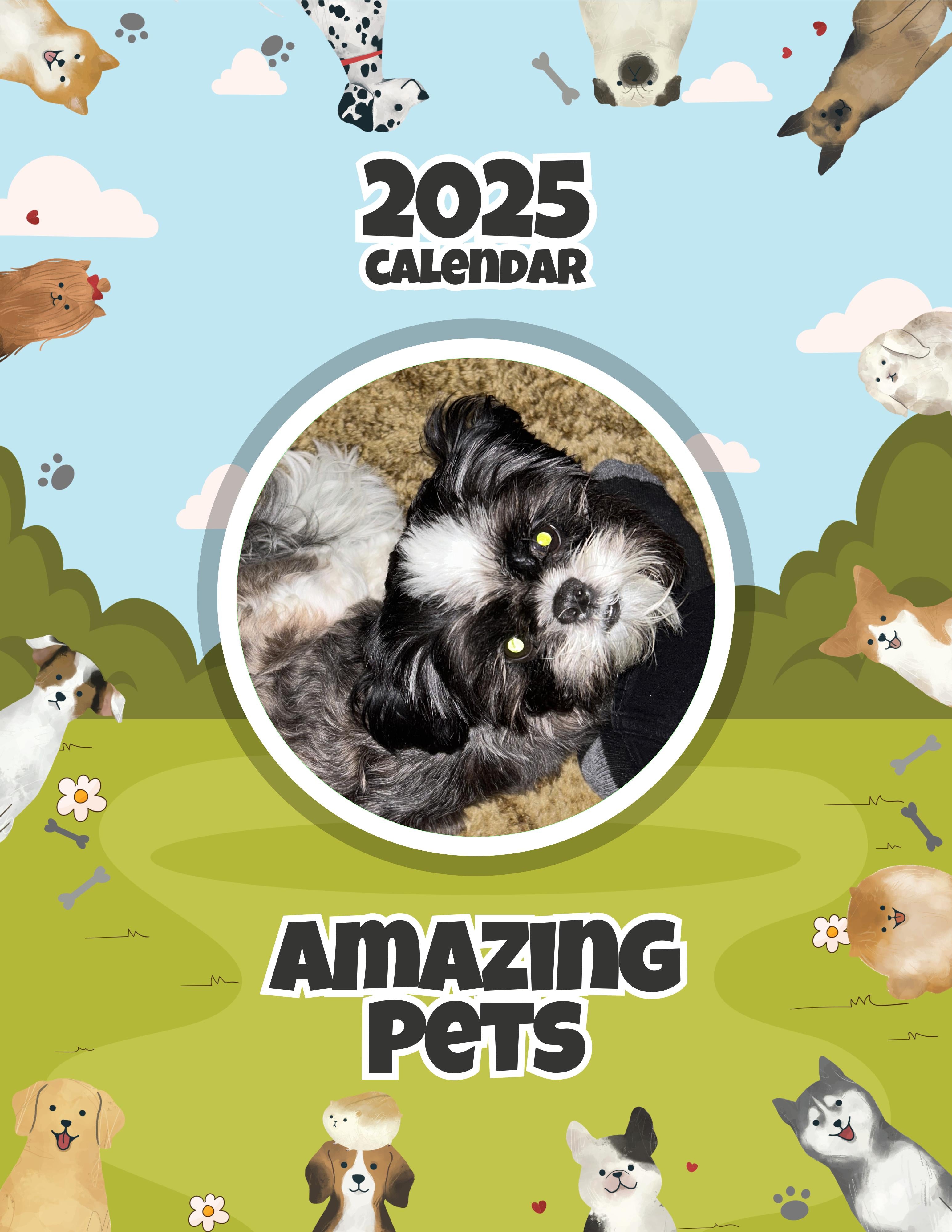 Amazing Pets: 2025 Wall Calendar (Pre-Order)