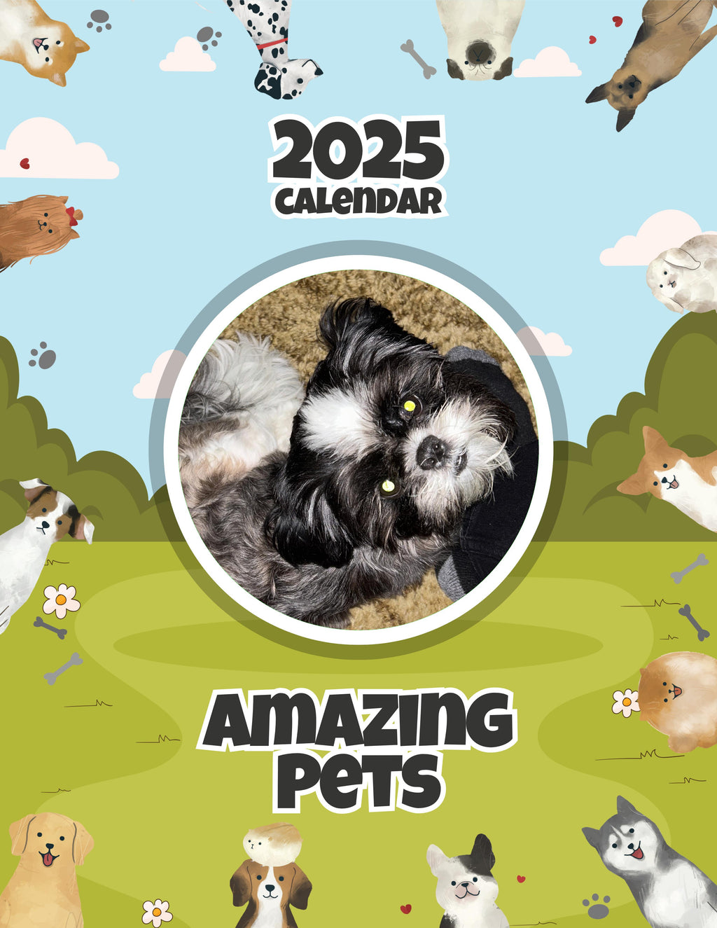 Amazing Pets: 2025 Wall Calendar (Pre-Order)