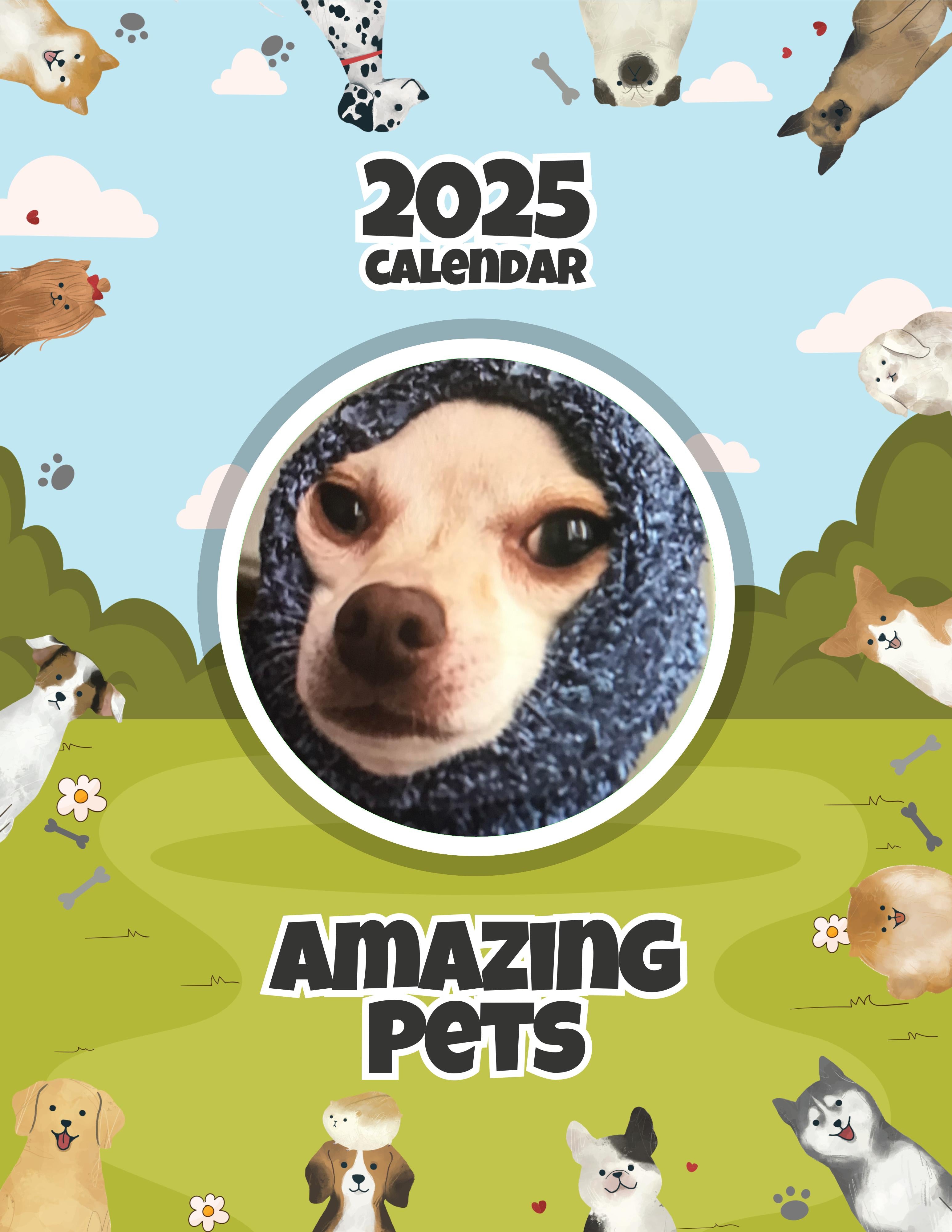 Amazing Pets: 2025 Wall Calendar (Pre-Order)