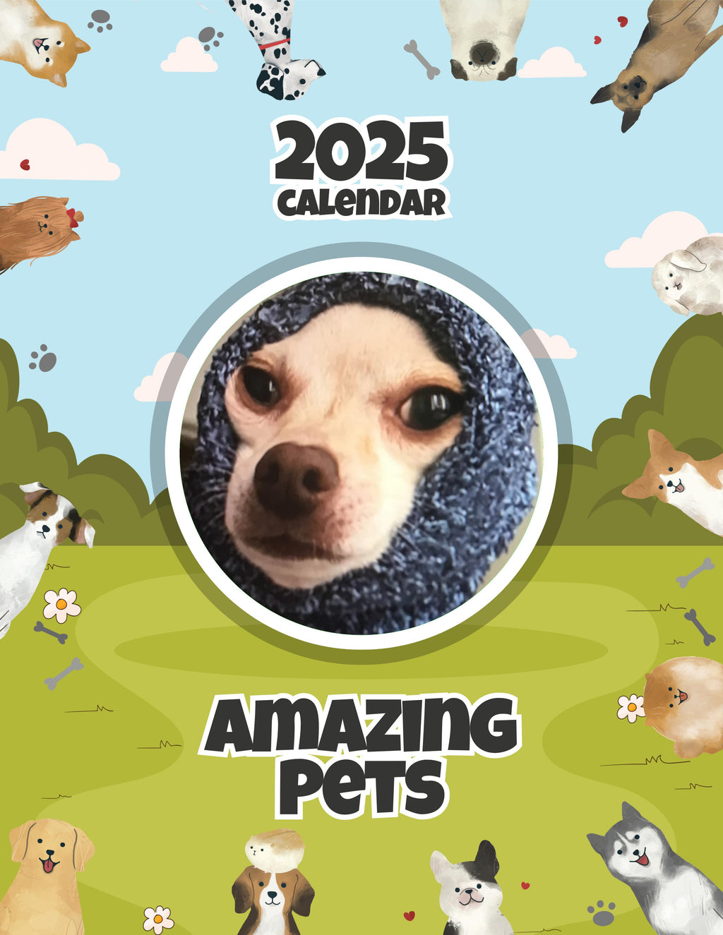 Amazing Pets: 2025 Wall Calendar (Pre-Order)