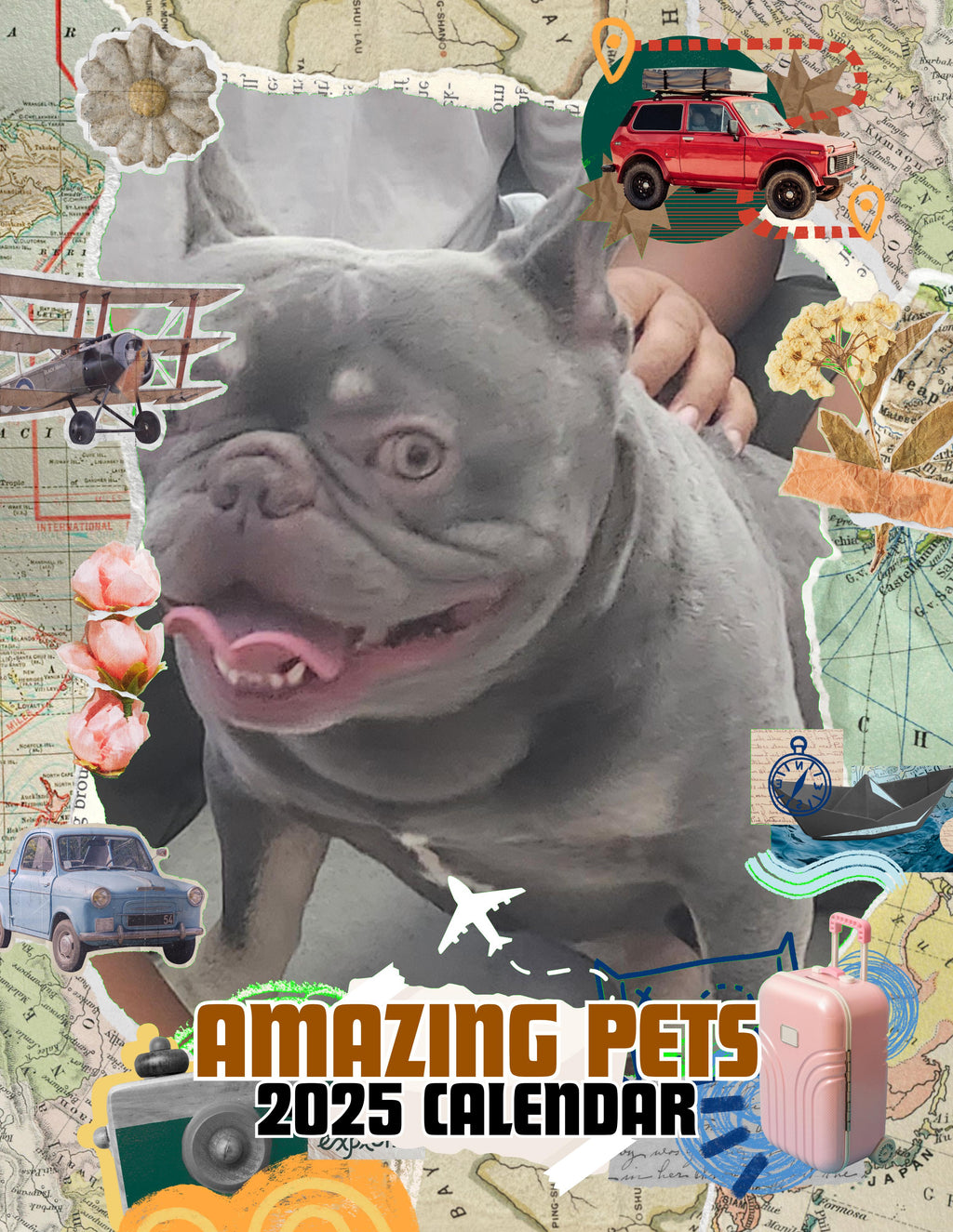 Amazing Pets: 2025 Wall Calendar (Pre-Order)