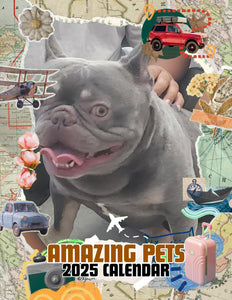 Amazing Pets: 2025 Wall Calendar (Pre-Order)