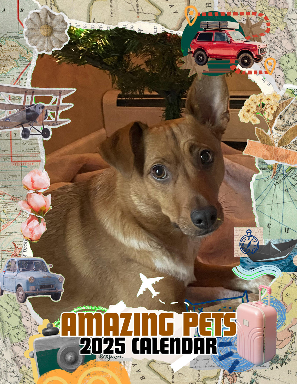 Amazing Pets: 2025 Wall Calendar (Pre-Order)