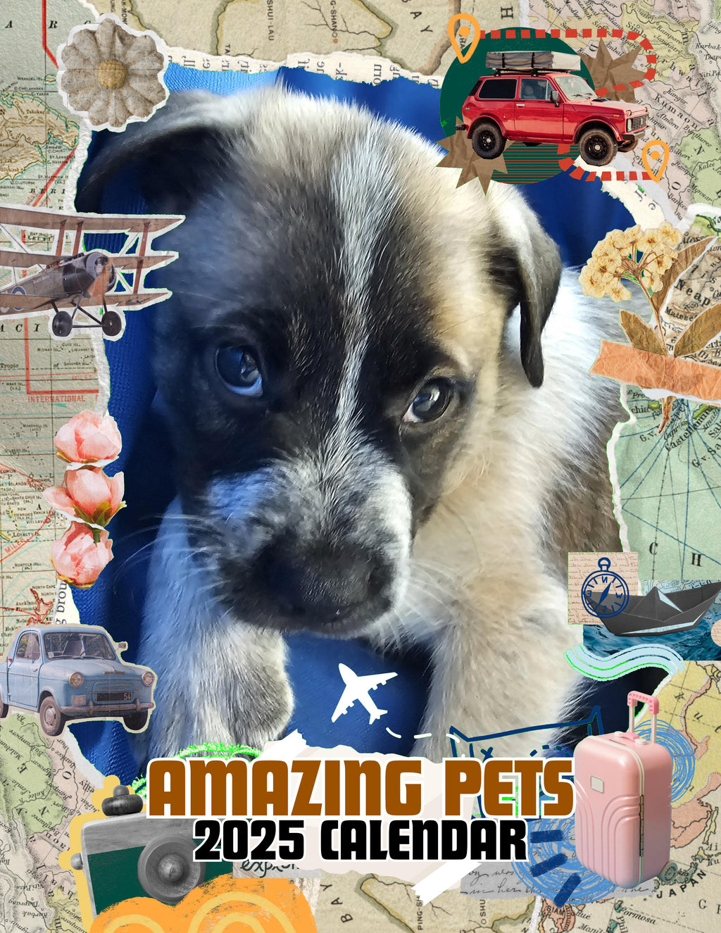 Amazing Pets: 2025 Wall Calendar (Pre-Order)