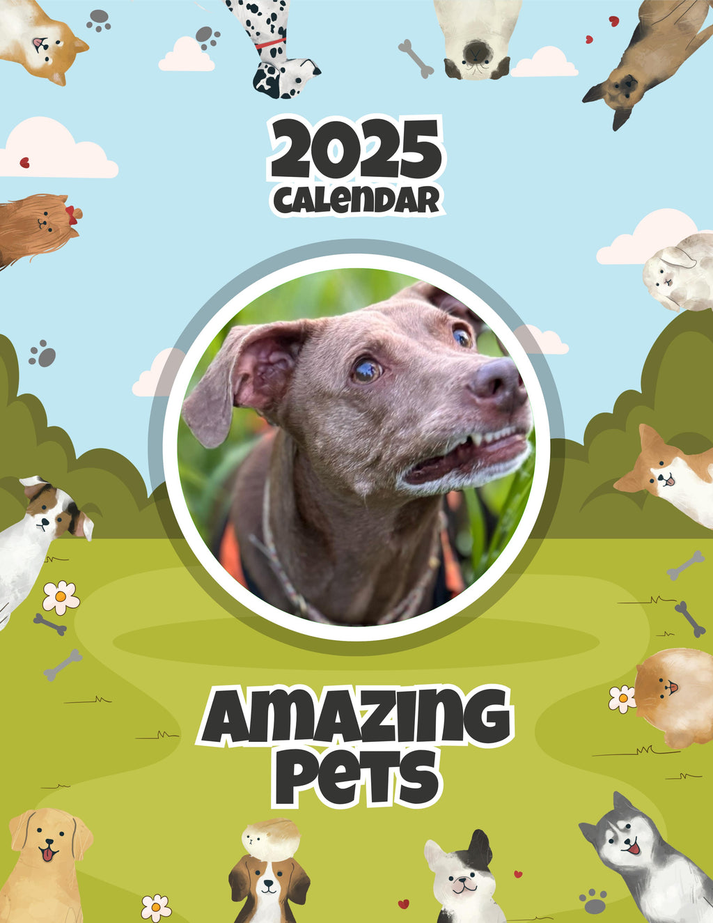 Amazing Pets: 2025 Wall Calendar (Pre-Order)