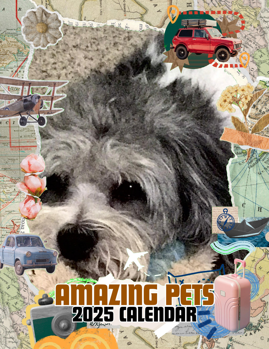 Amazing Pets: 2025 Wall Calendar (Pre-Order)