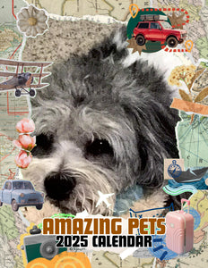 Amazing Pets: 2025 Wall Calendar (Pre-Order)