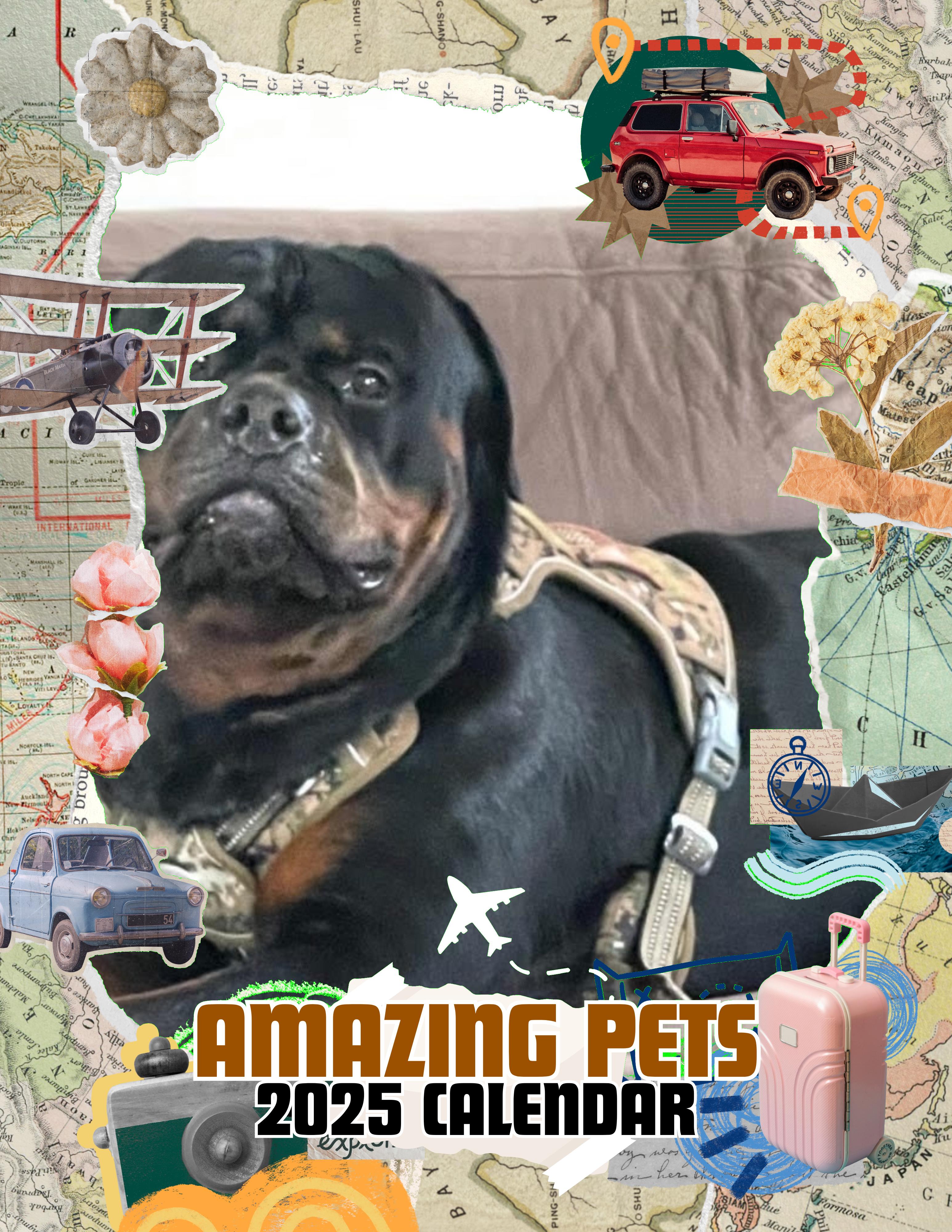 Amazing Pets: 2025 Wall Calendar (Pre-Order)