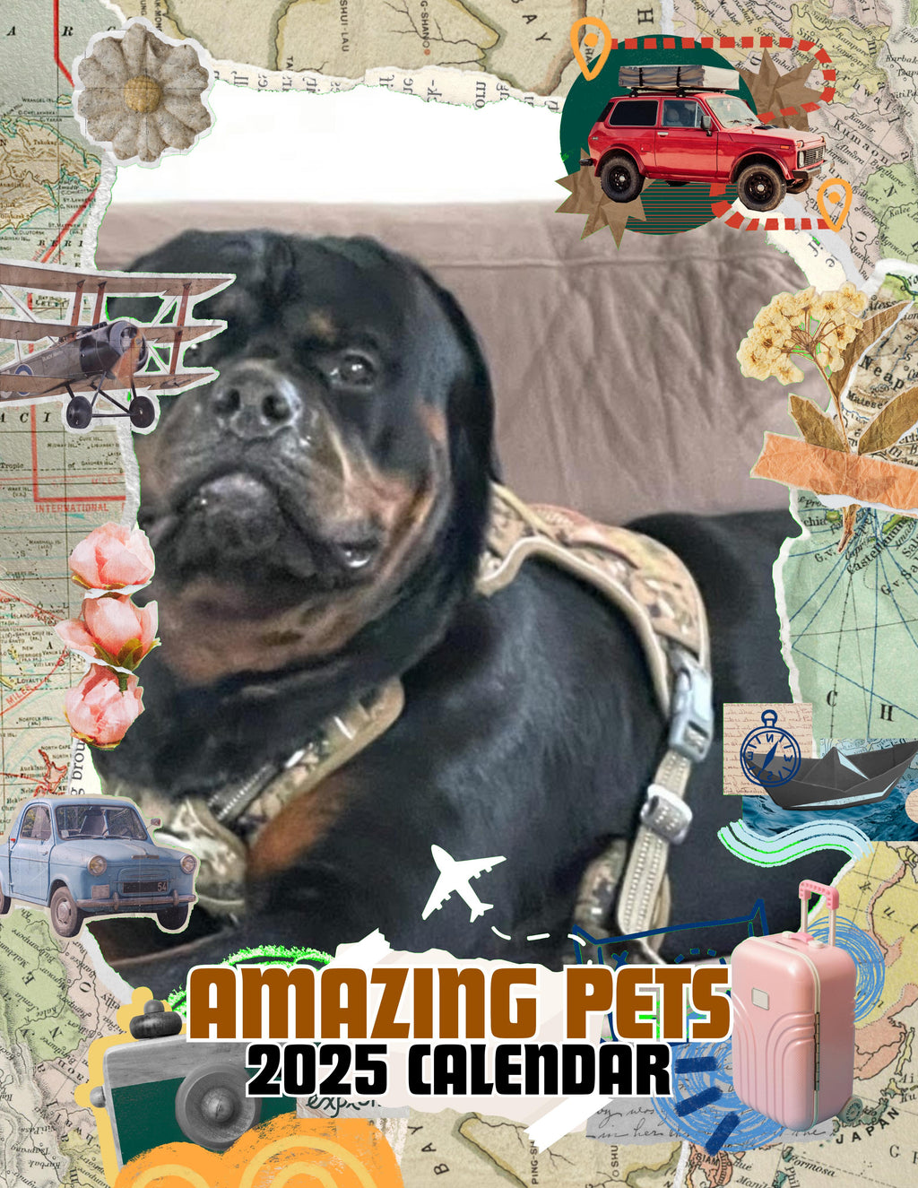 Amazing Pets: 2025 Wall Calendar (Pre-Order)