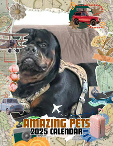 Amazing Pets: 2025 Wall Calendar (Pre-Order)